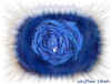Blue Rose Variation